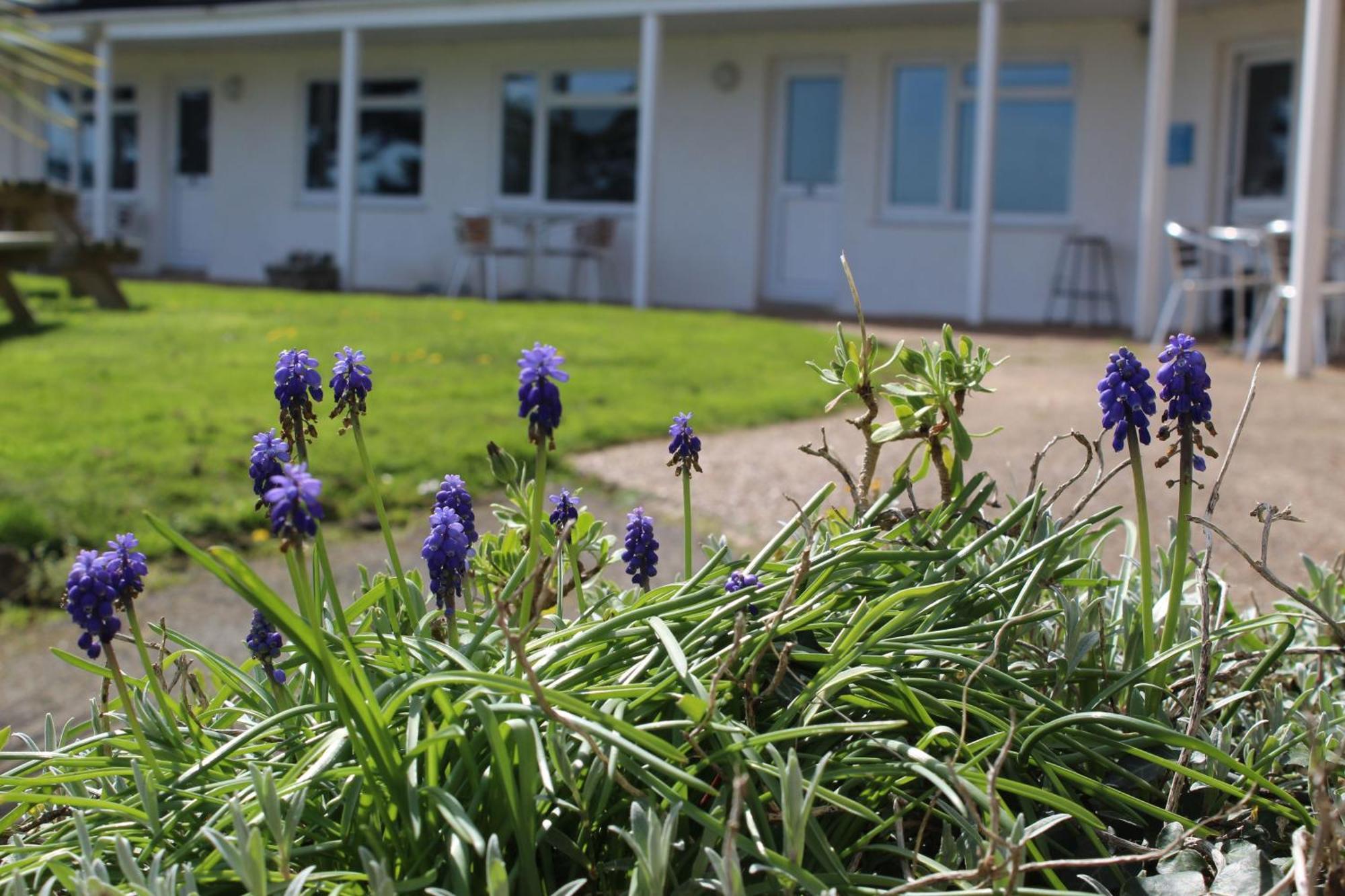 Holiday home Salty Air - Mount Brioni Downderry (Cornwall)